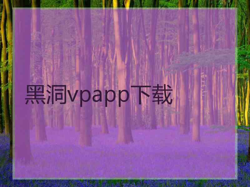 黑洞vpapp下载