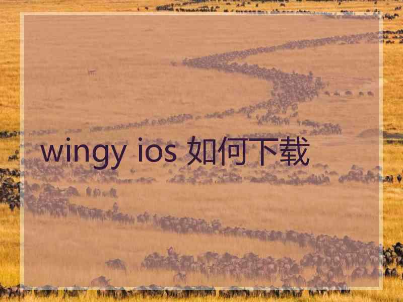 wingy ios 如何下载