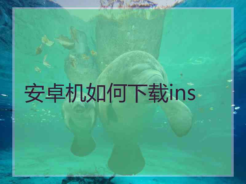 安卓机如何下载ins