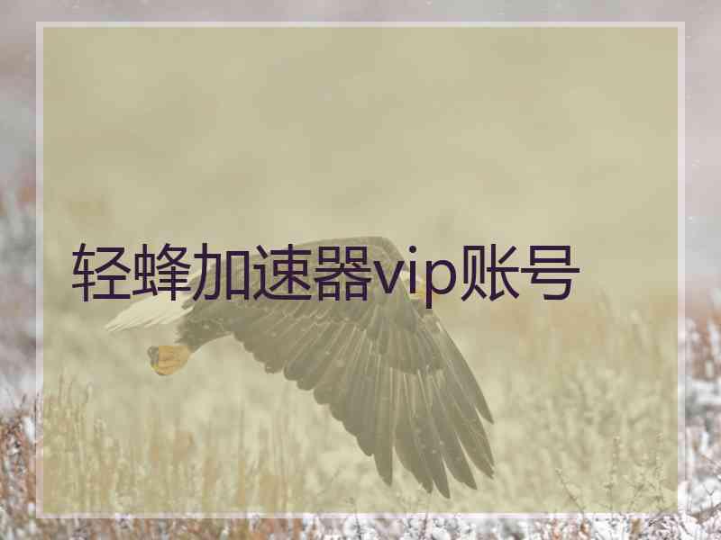 轻蜂加速器vip账号