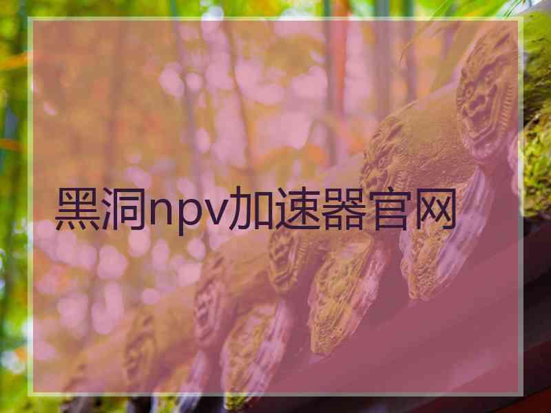 黑洞npv加速器官网