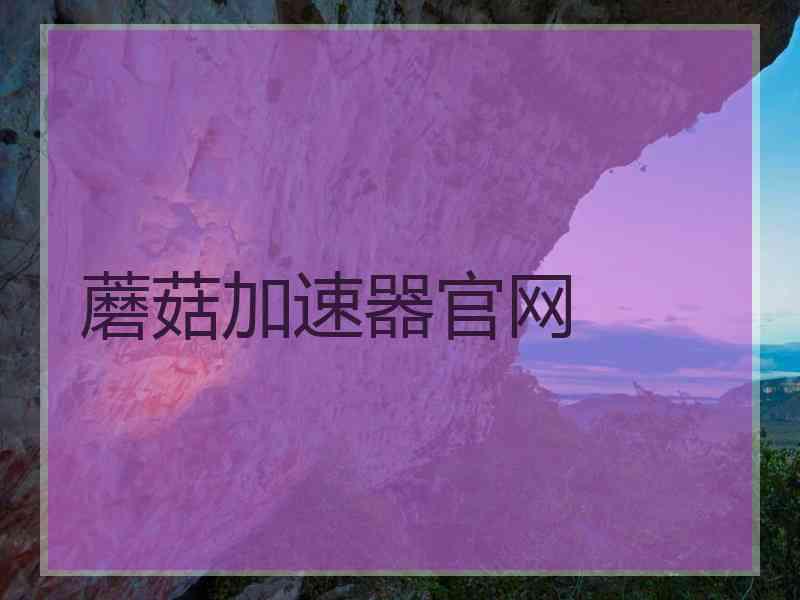 蘑菇加速器官网