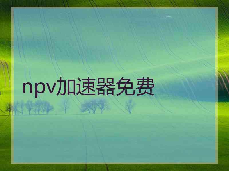 npv加速器免费