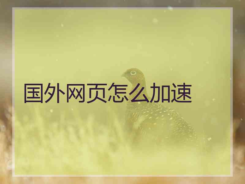国外网页怎么加速