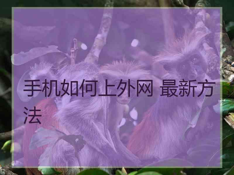 手机如何上外网 最新方法