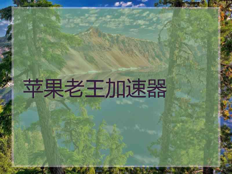 苹果老王加速器