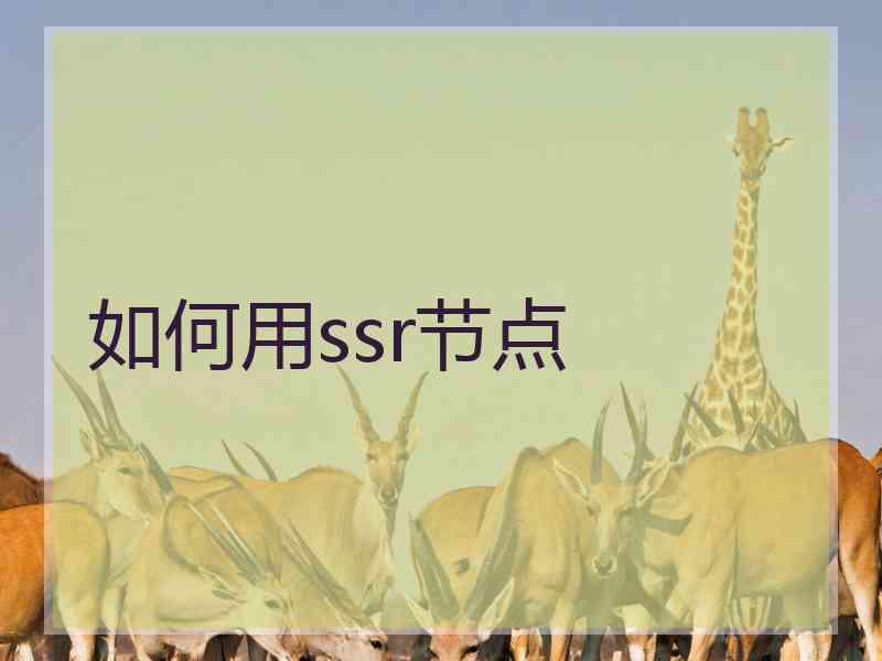 如何用ssr节点