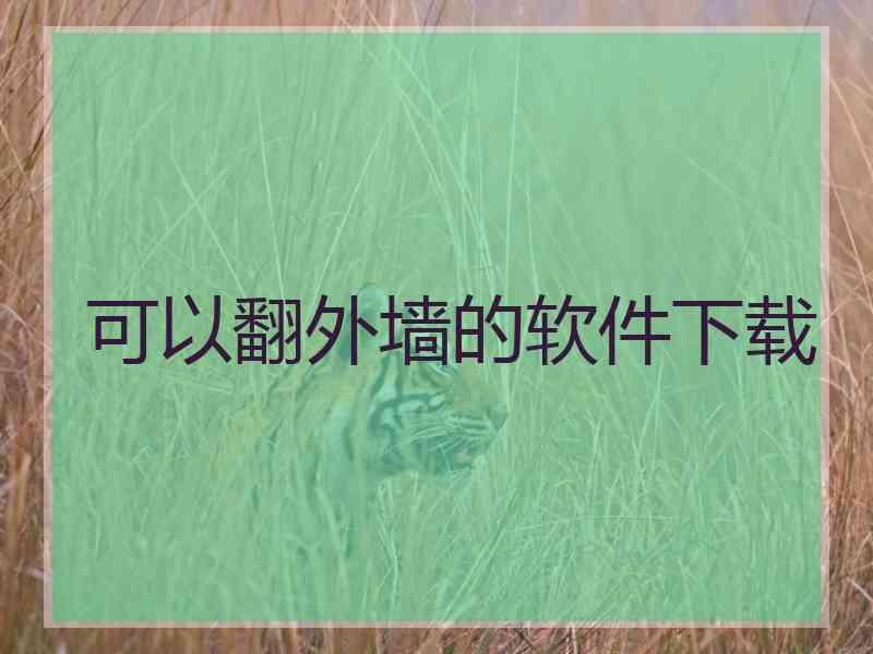 可以翻外墙的软件下载