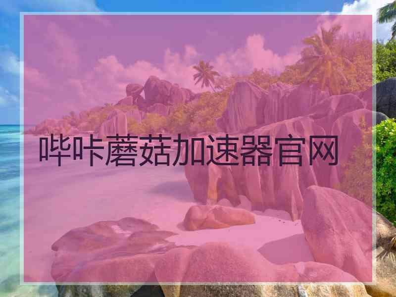 哔咔蘑菇加速器官网