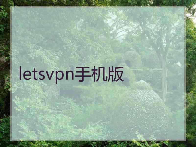 letsvpn手机版