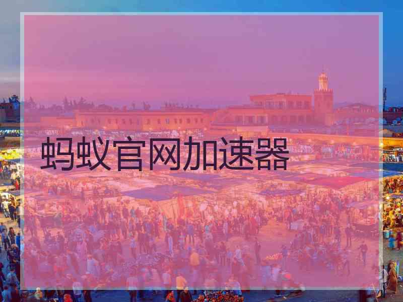 蚂蚁官网加速器