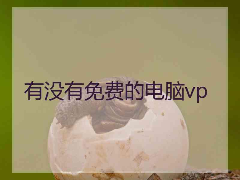 有没有免费的电脑vp