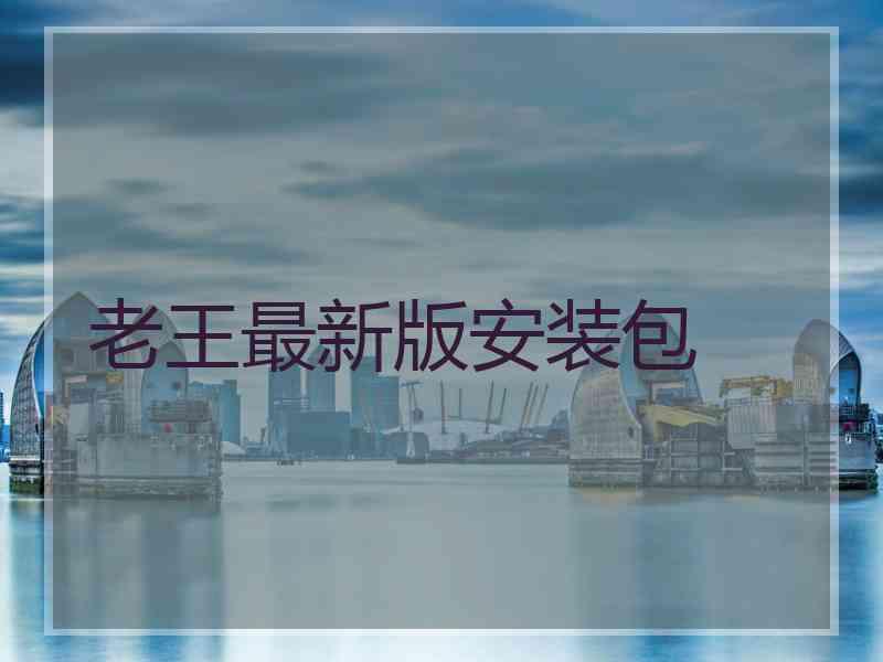 老王最新版安装包