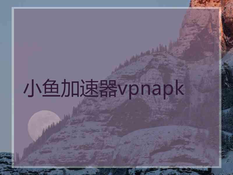 小鱼加速器vpnapk