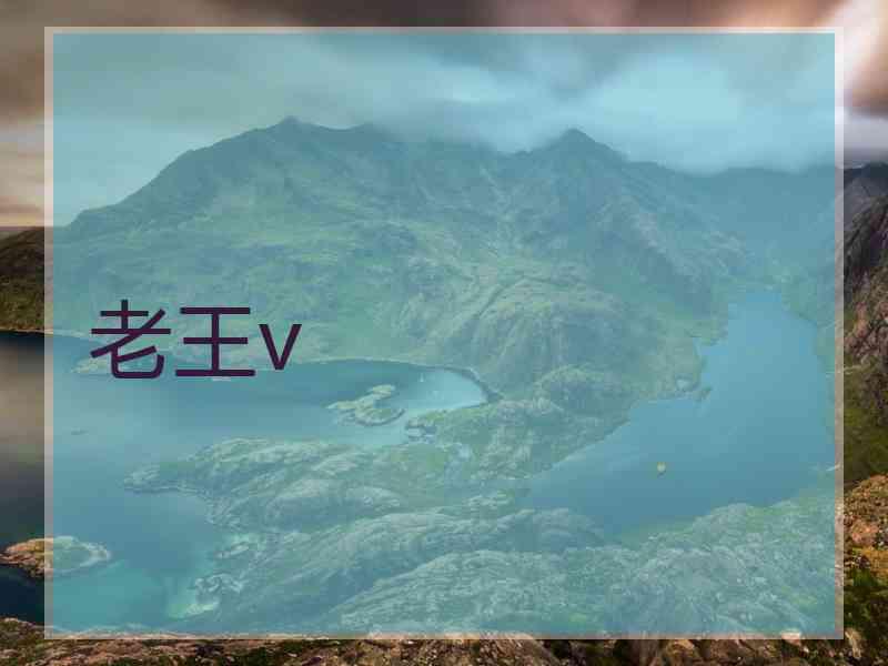 老王v
