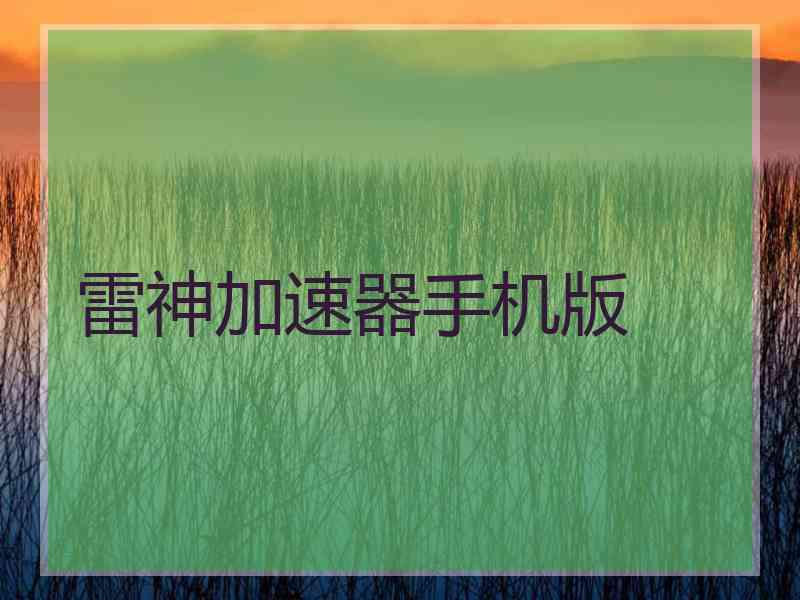 雷神加速器手机版