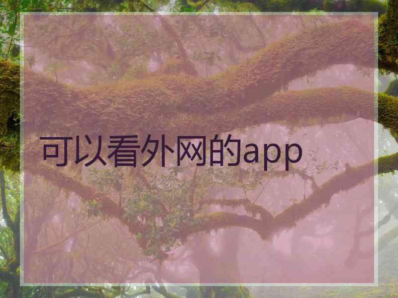 可以看外网的app
