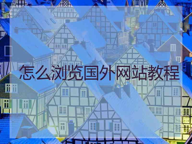 怎么浏览国外网站教程