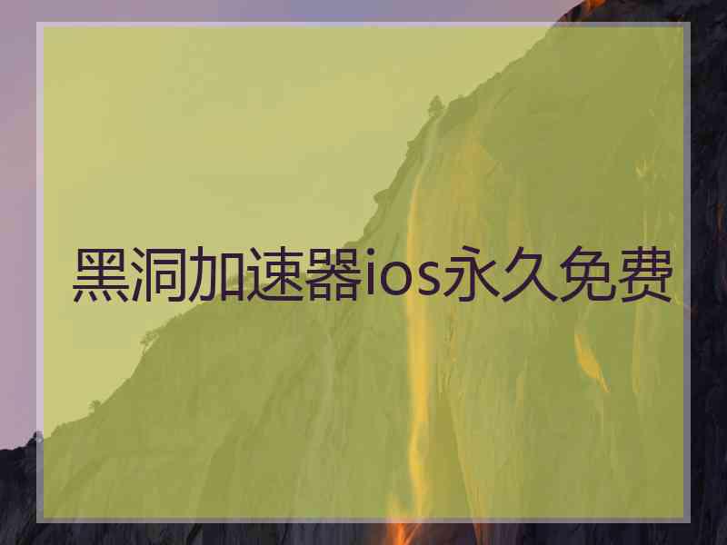 黑洞加速器ios永久免费