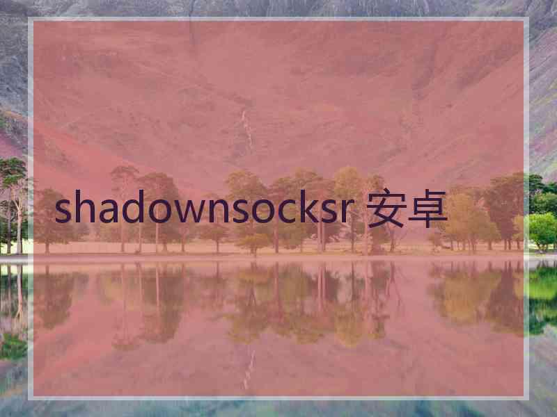 shadownsocksr 安卓