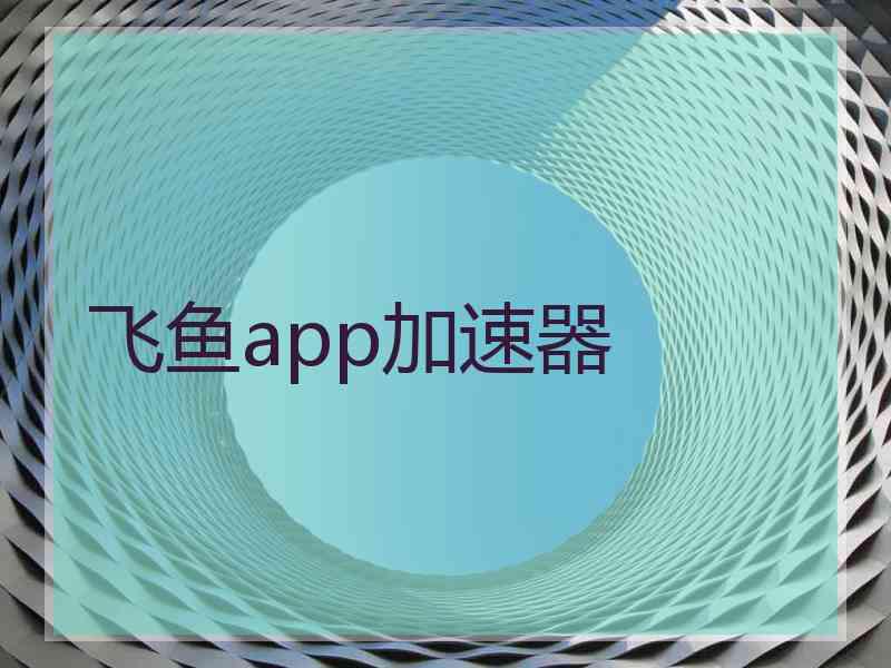飞鱼app加速器