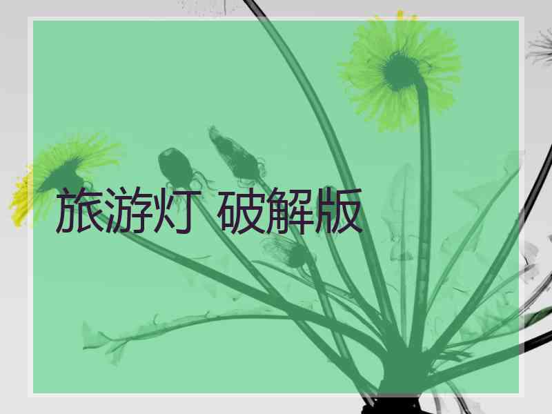 旅游灯 破解版