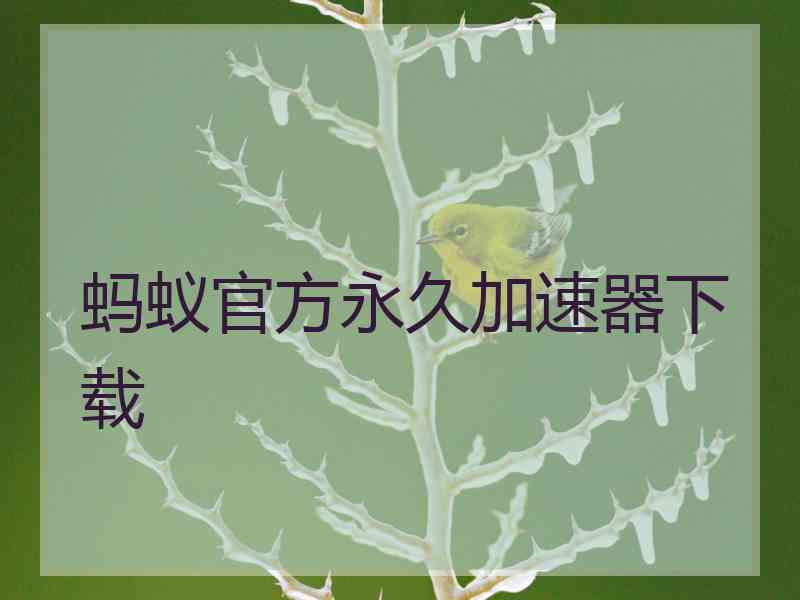 蚂蚁官方永久加速器下载