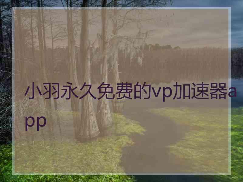 小羽永久免费的vp加速器app
