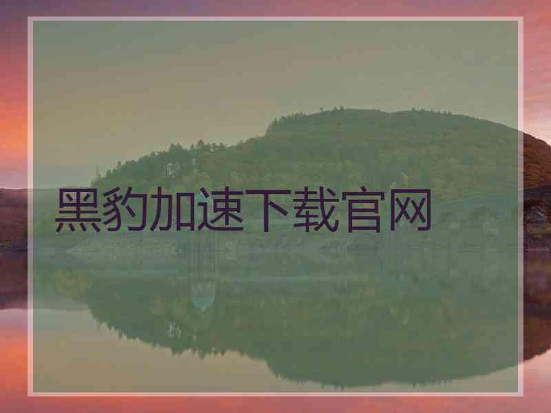 黑豹加速下载官网