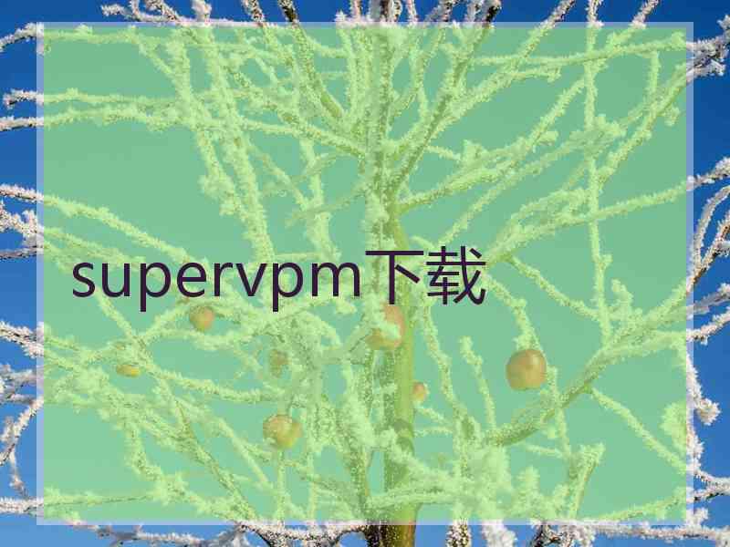 supervpm下载