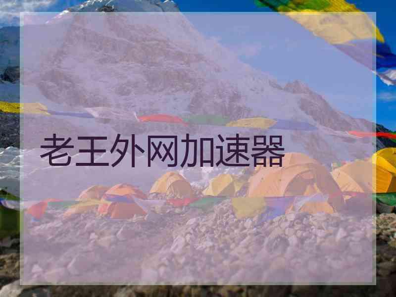 老王外网加速器