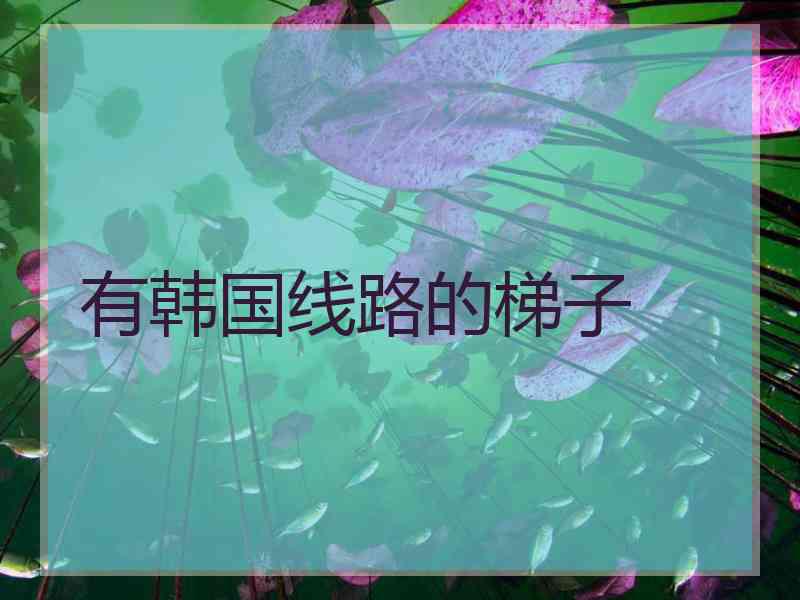 有韩国线路的梯子