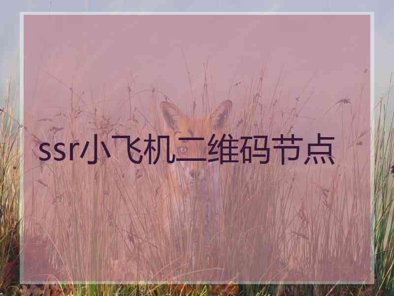 ssr小飞机二维码节点