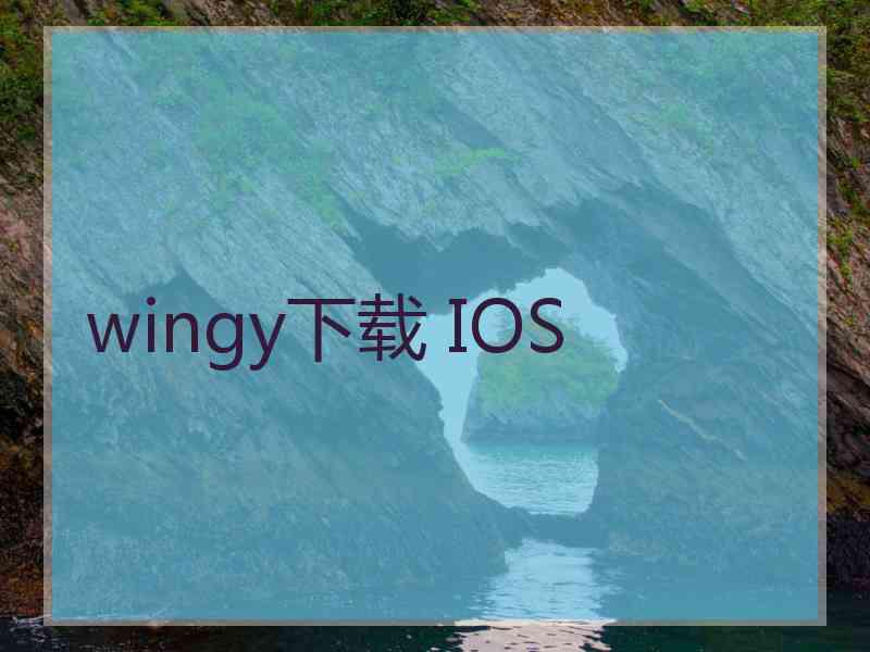 wingy下载 IOS
