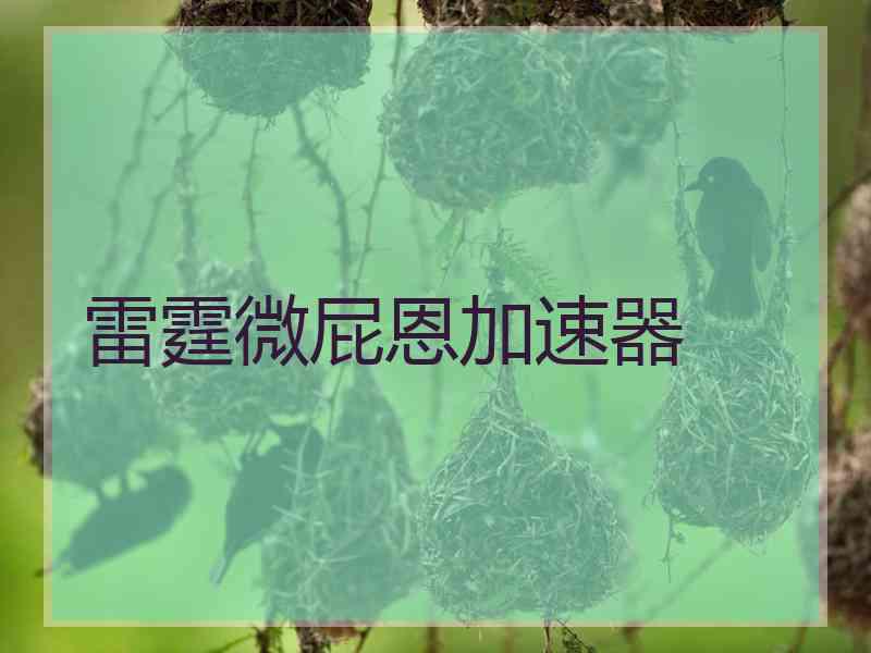 雷霆微屁恩加速器