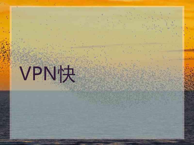 VPN快