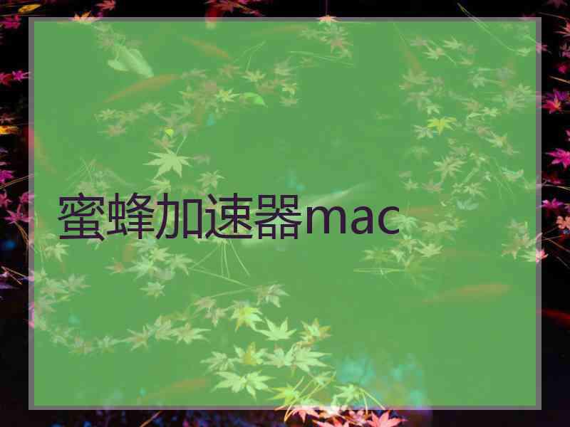 蜜蜂加速器mac