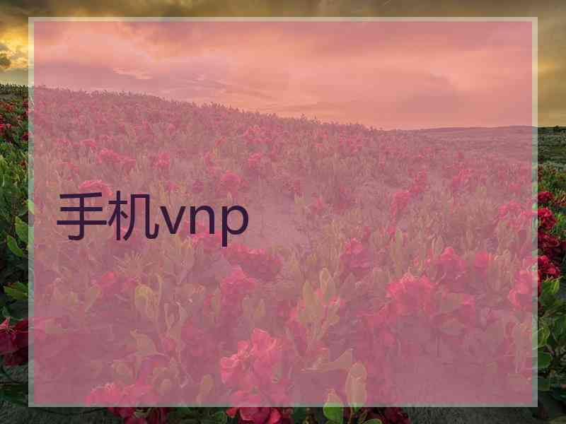手机vnp