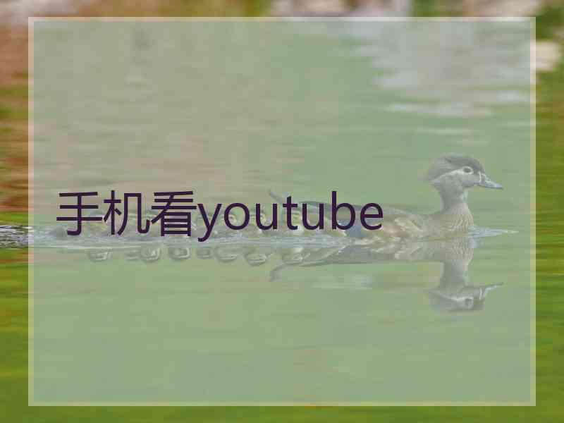 手机看youtube