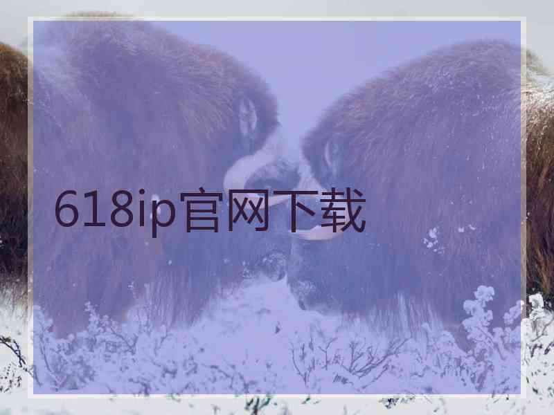 618ip官网下载