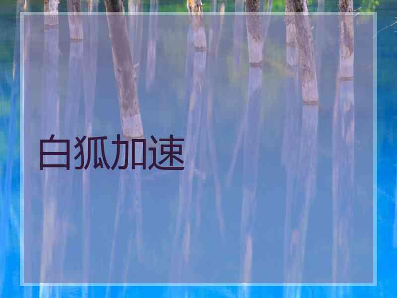 白狐加速