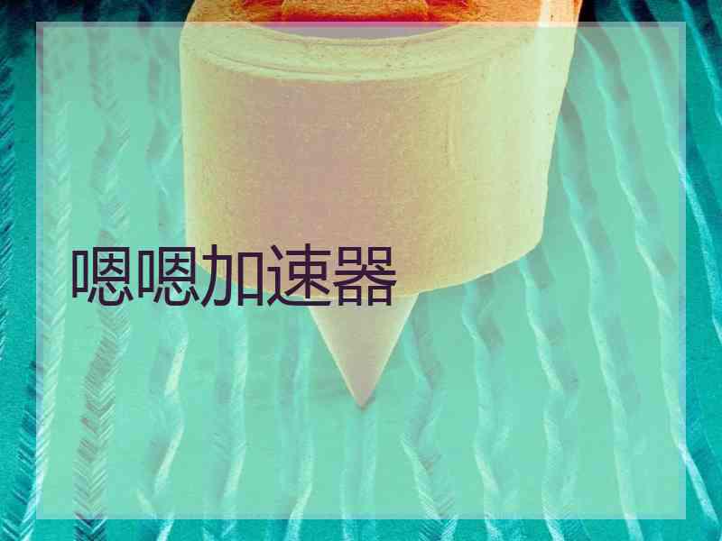 嗯嗯加速器