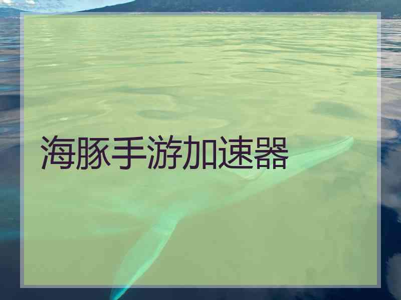 海豚手游加速器