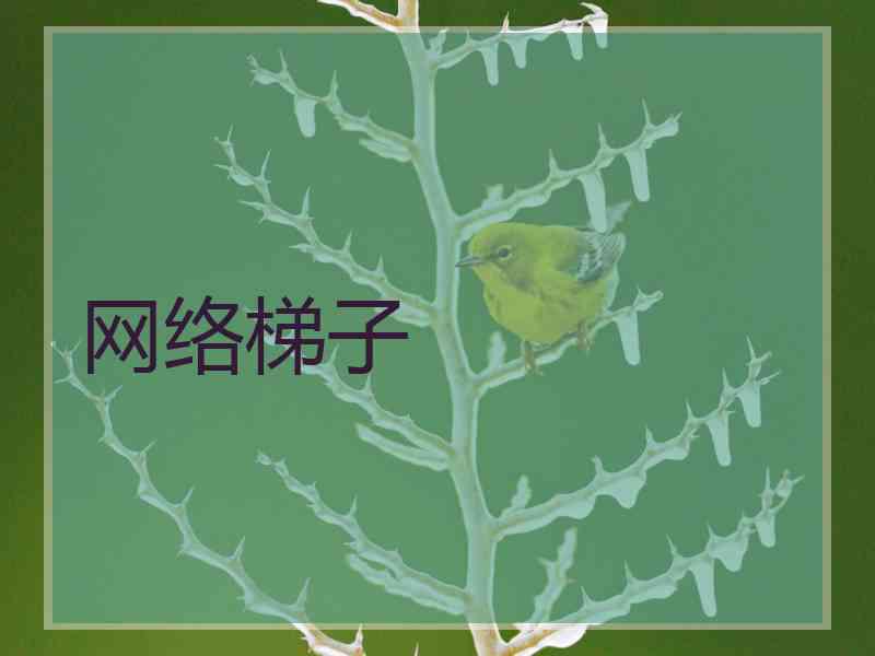 网络梯子