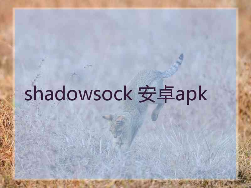shadowsock 安卓apk