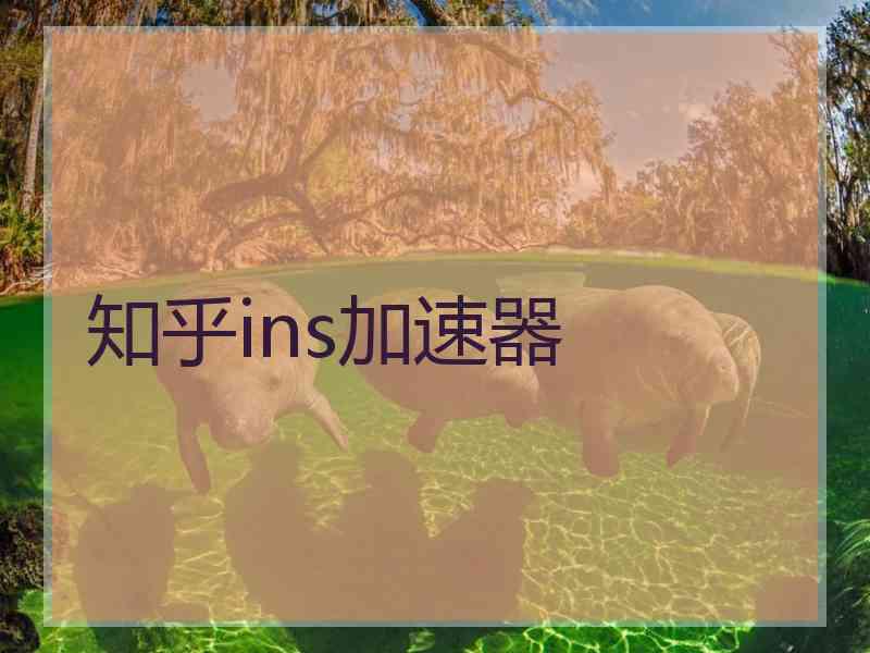 知乎ins加速器