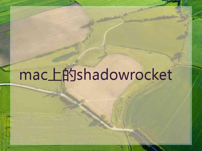 mac上的shadowrocket