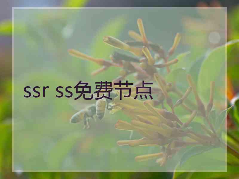 ssr ss免费节点