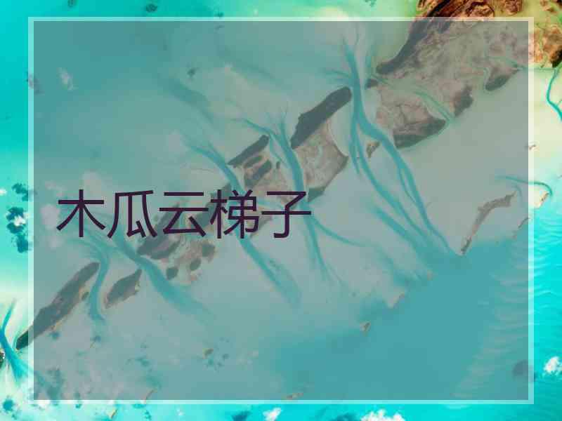 木瓜云梯子