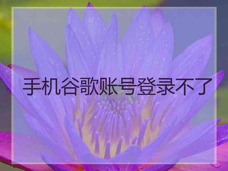 手机谷歌账号登录不了
